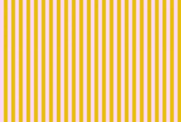 TULA PINK TENT STRIPE MARIGOLD YARDAGE