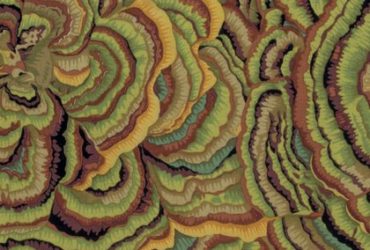 Tree Fungi Moss Philip Jacobs Kaffe Fassett Collective